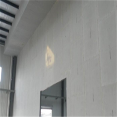 江苏宁波ALC板|EPS加气板隔墙与混凝土整浇联接的实验研讨